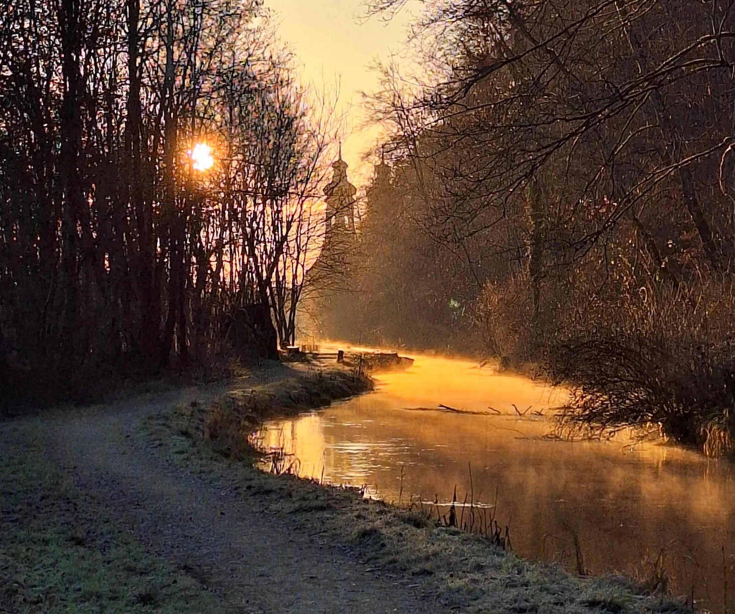 Spüren + Fühlen – Gesundheitskonzepte – Sonnenuntergang im Wald